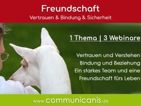 Eine Freundschaft fürs Leben - Sie & Ihr Hund (Onlinewebinarreihe 06.11.24)