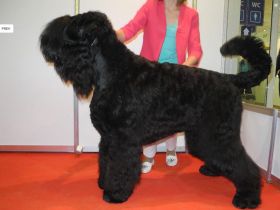 Herzlich willkommen! Mein Name ist Malgorzata