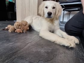 Hallo, unser kleiner Sonnenschein ist nun abgabebereit.