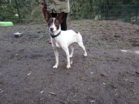 Hallo darf ich mich kurz vorstellen? Mein Name ist