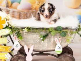 Update. Unsere Geschwister ziehen in 4 Wochen aus. Nur