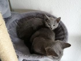 Jünge und Mädchen wurden am 01.01.22 gegen 22:00