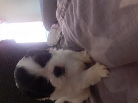 Nun ist es soweit das die kleinen absofort nach