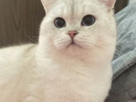 Bkh Kater, Schweren Herzens müssen wir uns von unserem