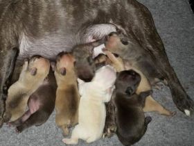 Unser Nachwuchs darf ab dem 22.04.2022 in ihr neues