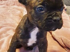 Unser Nachwuchs darf ab dem 22.04.2022 in ihr neues