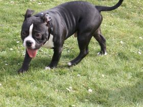 Schweren Herzens müssen wir uns auf Grund von Krankheit