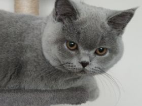 Wir müssen uns leider schweren Herzens von der kleinen