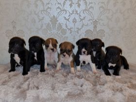 Guten Tag, Unsere OEB Dame hat am 18.03.22. 7