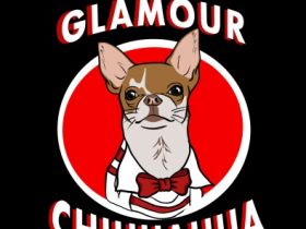 Glamour Chihuahua Family