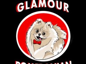 Glamour Pomeranian Family