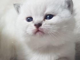 Unsere Paulina hat uns 5 Schöne Points ins Nest gelegt.