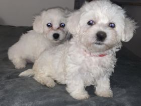 Huhu! Unsere Lieblinge haben Nachwuchs bekommen und