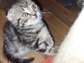 Hallo liebe Tierfreunde, wir haben am 08.02.2022