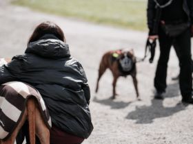 Bunte Hunde - Training & Verhaltenstherapie