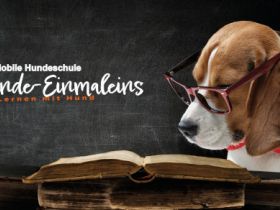 Hunde-Einmaleins Christiana Gramlich