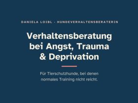 Daniela Loibl - Verhaltensberatung für Tierschutzhunde