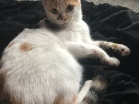 Klausi und Bärbel (beides weibchen)