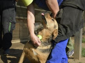 Pandora sucht Euren Halt