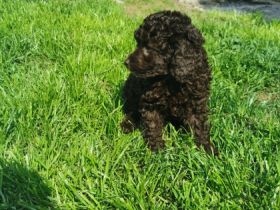 Hurra... Nun ist es endlich soweit unsere kleinen