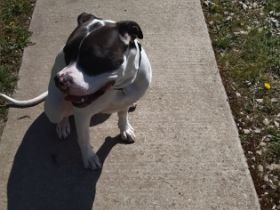 Wir müssen uns leider von unserer Kira aus