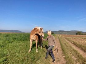 Tierphysiotherapie &Tierheilpraxis Natalie Schwalbe