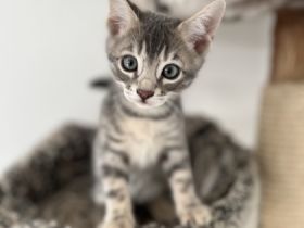 Von ariana Hildebrandt