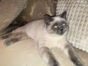 Hallo liebe Tierliebhaber, Am 27.04.2022 sind unsere