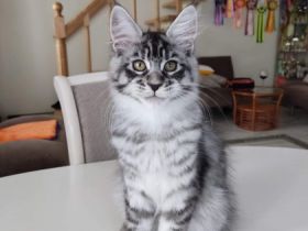 Linda, Sie können zusammen oder einzeln gehen, am