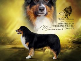 Red Fire‘s On The Road ‘Michel‘ DNA-CP