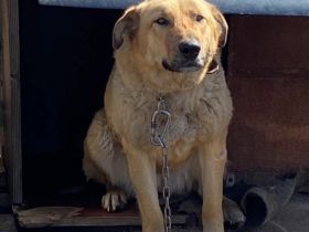 Dunya - liebenswürdig und harmonisch💞