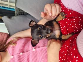 Unsere kleine weltentdeckerin geboren am 27.03.2022