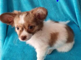 Sie wurden am 02.03.22 geboren und sind nun alt genug