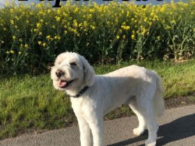 Hallo, Wir machen Ihren Traum wahr. Wir haben