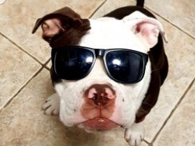 Haylie, Suchen auf diesem Wege ein zu Hause auf