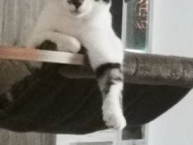 Schweren Herzens müssen wir uns von unserem 11 Monate