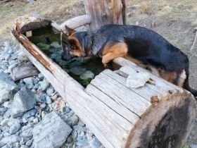 von der Silvretta - Arena
