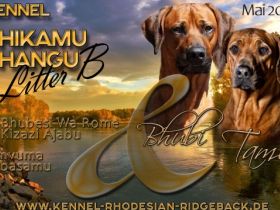 Aus Planung wurde Wirklichkeit. Am 11.05.2022