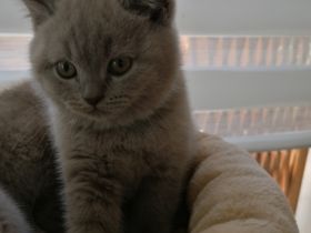 Am 01.04.2022 haben wir, sieben wunderschöne,