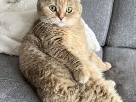 Hallo, schweren Herzens müssen wir uns von unserer