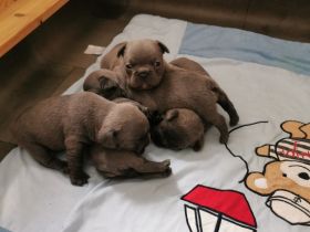 Am 20.05. 22 kamen sie auf natürliche Weise auf die