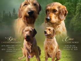 Zuchtstation Jirmil Utrnil verkauft Weplen des