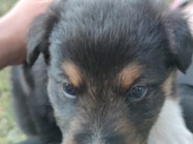 Am 23.05.2022 haben unsere süßen Knutschkugeln das