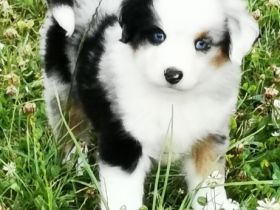 Ab sofort sind Intressenten eingeladen unsere