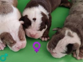 Es ist endlich soweit!! Unsere süße Prinzessin hat am