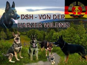 von der Harzer Wildnis