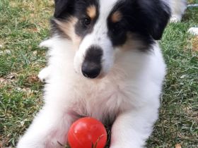 Wir haben in der Nacht vom 23.auf den 24. Mai von