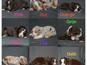 Nicht geplant und doch passiert, Kinder der Liebe. 1