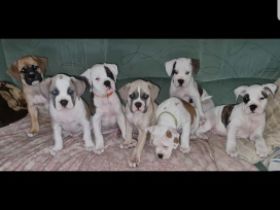 Wir suchen Kuschelpersonal u dürfen ausziehen. Sind am