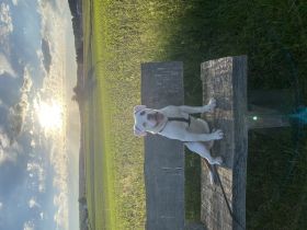 Hallo zusammen, wir suchen für unseren 6 Monate alten